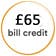 £65 Bill Credit